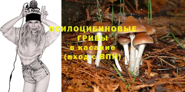 хмурый Балабаново